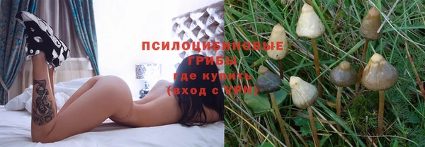 mdpv Нефтегорск