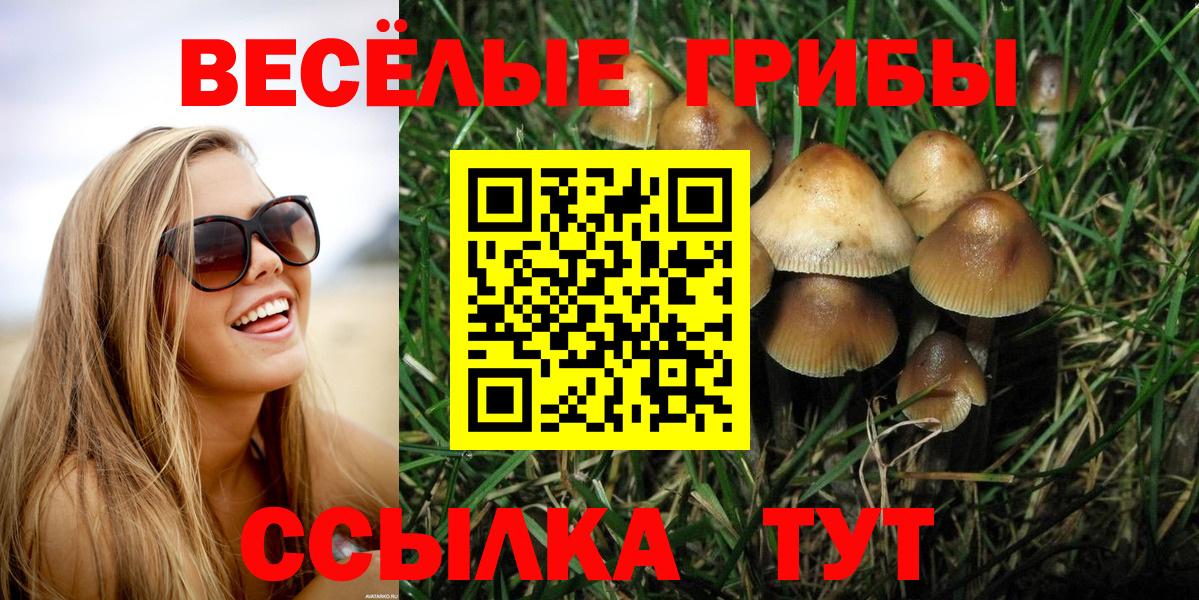 Псилоцибиновые грибы Psilocybine cubensis Керчь
