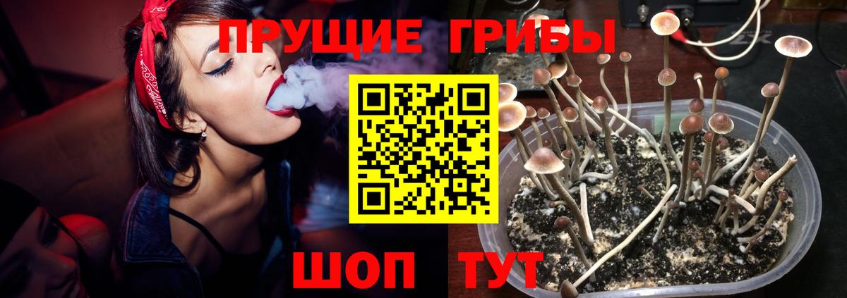 Керчь  Галлюциногенные грибы Magic Shrooms  Вход с VPN 